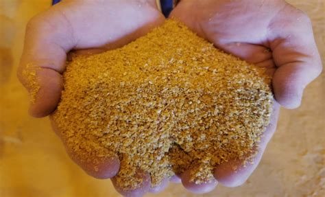  Dried Distillers Grains - Ein Wundermittel für die Tierfütterung oder doch nicht?