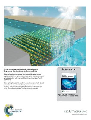 Wolframsulfid – Hochleistungsmaterial für die optoelektronische Industrie?