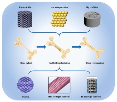  Collagen: Ein Wundermaterial der Natur für die Regeneration von Gewebe!